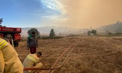 Bolu-Ankara sınırında orman yangını: Müdahale sürüyor