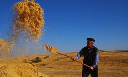 Çiftçilere müjde: Tarımsal destek ödemeleri bugün yatırılıyor!