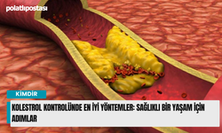 Kolestrol Kontrolünde En İyi Yöntemler: Sağlıklı Bir Yaşam İçin Adımlar