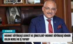 Mehmet Büyükekşi serveti ve şirketleri? Mehmet Büyükekşi kimdir aslen nereli ne iş yapar?