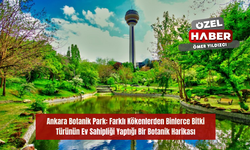 Ankara Botanik Park: Farklı Kökenlerden Binlerce Bitki Türünün Ev Sahipliği Yaptığı Bir Botanik Harikası