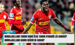 Nordsjaelland takımı hangi ülke takımı oynadığı lig hangisi? Nordsjaelland kadro değeri ne kadar?