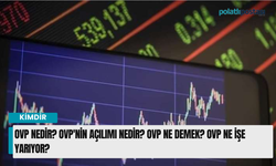 OVP nedir? OVP'nin açılımı nedir? OVP ne demek? OVP ne işe yarıyor?