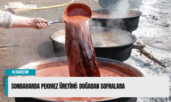 Sonbaharda Pekmez Üretimi: Doğadan Sofralara