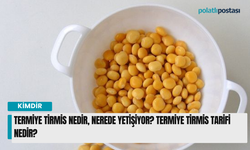 Termiye Tirmis nedir, nerede yetişiyor? Termiye Tirmis tarifi nedir?