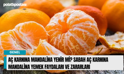 Aç karnına mandalina yenir mi? Sabah aç karnına mandalina yemek faydaları ve zararları