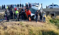 Feci Kaza: İşçi servisiyle kamyonet çarpıştı 17 yaralı var ve büyükbaşlar da telef oldu