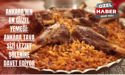 Ankara’nın en güzel yemeği: Ankara Tava Sizi Lezzet Şölenine Davet Ediyor