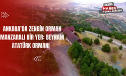 Ankara’da Zengin Orman Manzaralı Bir Yer: Beynam Atatürk Ormanı