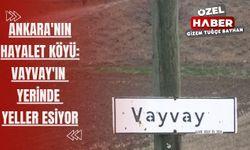 Ankara'nın hayalet köyü: Vayvay'ın yerinde yeller esiyor