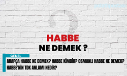 Arapça habbe ne demek? Habbe kimdir? Osmanlı habbe ne demek? Habbe'nin TDK anlamı nedir?