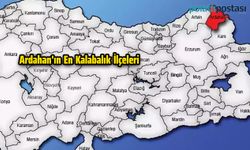 Ardahan'ın En Kalabalık İlçeleri