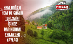 Hem doğayı hem de sağlık turizmini içinde barındıran yer: Ayder Yaylası