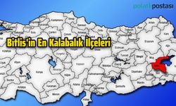 Bitlis'in En Kalabalık İlçeleri