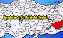 Diyarbakır'ın En Kalabalık İlçeleri