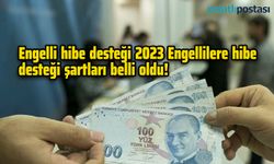 Engelli hibe desteği 2023 Engellilere hibe desteği şartları belli oldu!