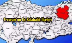 Erzurum'un En Kalabalık İlçeleri