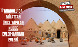 Anadolu’da milattan önce yapılan kubbe evler: Harran Evleri