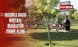 Huzurlu kaçış noktası: Regülatör Piknik Alanı