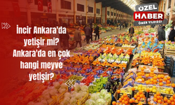 İncir Ankara'da yetişir mi? Ankara'da en çok hangi meyve yetişir?