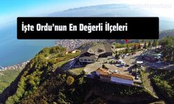 Burada Evi Olanlar Zengin Olacak: İşte Ordu'nun En Değerli İlçeleri