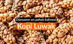 Kopi Luwak: Dünyanın En Pahalı Kahvesi ve Üretim Süreci