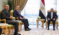 Mısır’dan Sisi-Fidan görüşmesinin ardından açıklama