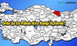 Ordu'da En Pahalı Kira Hangi İlçelerde