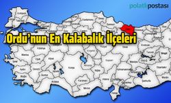 Ordu'nun En Kalabalık İlçeleri