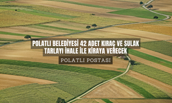 Polatlı Belediyesi 42 adet kıraç ve sulak tarlayı ihale ile kiraya verecek