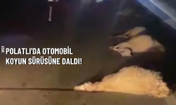 Polatlı'da Otomobil Koyun Sürüsüne Daldı!