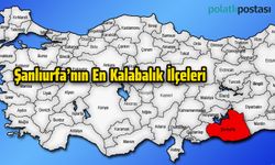 Şanlıurfa'nın En Kalabalık İlçeleri