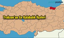 Trabzon'un En Kalabalık İlçeleri