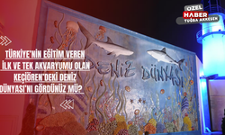 Türkiye’nin Eğitim Veren İlk ve Tek Akvaryumu Olan Keçiören’deki Deniz Dünyası’nı Gördünüz mü?