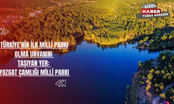 Türkiye’nin İlk Milli Parkı Olma Unvanını Taşıyan Yer: Yozgat Çamlığı Milli Parkı