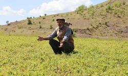 Uzmanlardan önemli uyarı… Çiftçiler bunu sakın yapmayın!