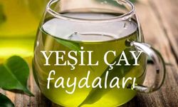 Yeşil Çay Faydaları: Sağlığınızı Destekleyen Doğal İçecek