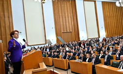 Akşener, ‘O parmakları tek tek kıracağım' Demişti: Partideki İki İsme, Kapıyı Gösterdiği İddia Edildi!