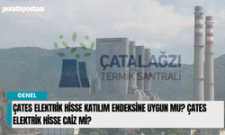 Çates Elektrik hisse katılım endeksine uygun mu? Çates Elektrik hisse caiz mi?