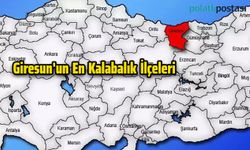 Giresun'un En Kalabalık İlçeleri