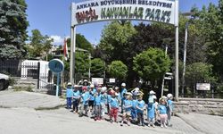 Ankara Büyükşehir Belediyesi Minikleri Keçiören Evcil Hayvan Parkı'nda Ağırladı