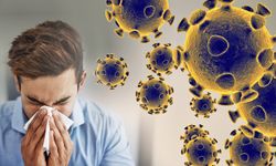 Dünya Sağlık Örgütü koronavirüs varyantı JN.1 için uyardı! En çok görülen ülkeler açıklandı