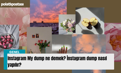 Instagram My dump ne demek? İnstagram dump nasıl yapılır?