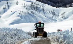 Kar yağışı hayatı olumsuz etkiledi! Van, Hakkari, Bitlis ve Muş'ta 472 yerleşim birimine ulaşım sağlanamıyor