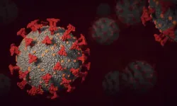 Gizemli Pnömoni Virüsü Avrupa'ya da Sıçradı: Danimarka ve Hollanda'da Tespit Edildi