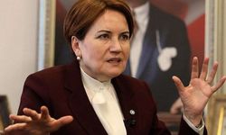 Meral Akşener'in öfkesi dinmiyor: İYİ Parti'den istifa eden isimleri sosyal medya hesabından engelledi