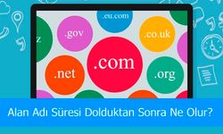 Alan Adı Süresi Dolduktan Sonra Ne Olur? Domain Düşme Süreci ve Etkileri