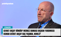 Cevdet Akçay kimdir? Merkez Bankası Başkan Yardımcısı Osman Cevdet Akçay kaç yaşında, nereli?