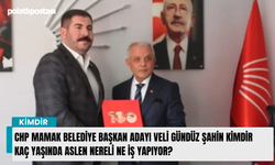 CHP Mamak Belediye Başkan Adayı Veli Gündüz Şahin kimdir kaç yaşında aslen nereli ne iş yapıyor?