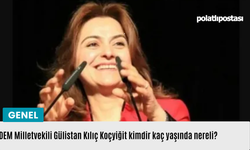 DEM Milletvekili Gülistan Kılıç Koçyiğit kimdir kaç yaşında nereli?